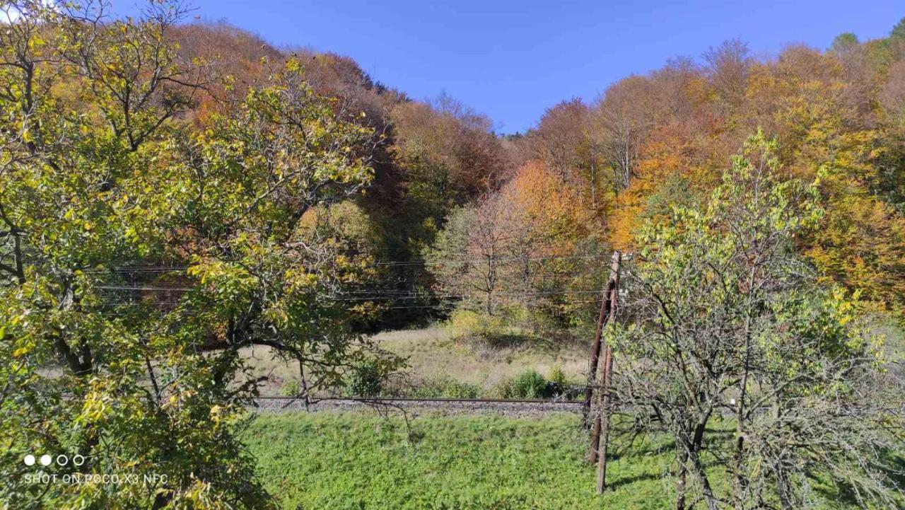 Gorec Yaremche Exterior photo
